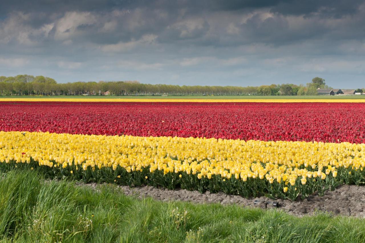 Buitenplaats Langewijk Zuidoostbeemster Esterno foto